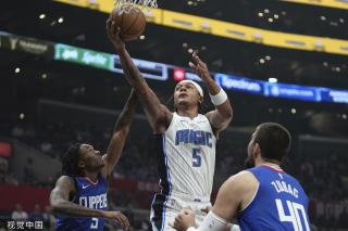 形成互补 形成互补