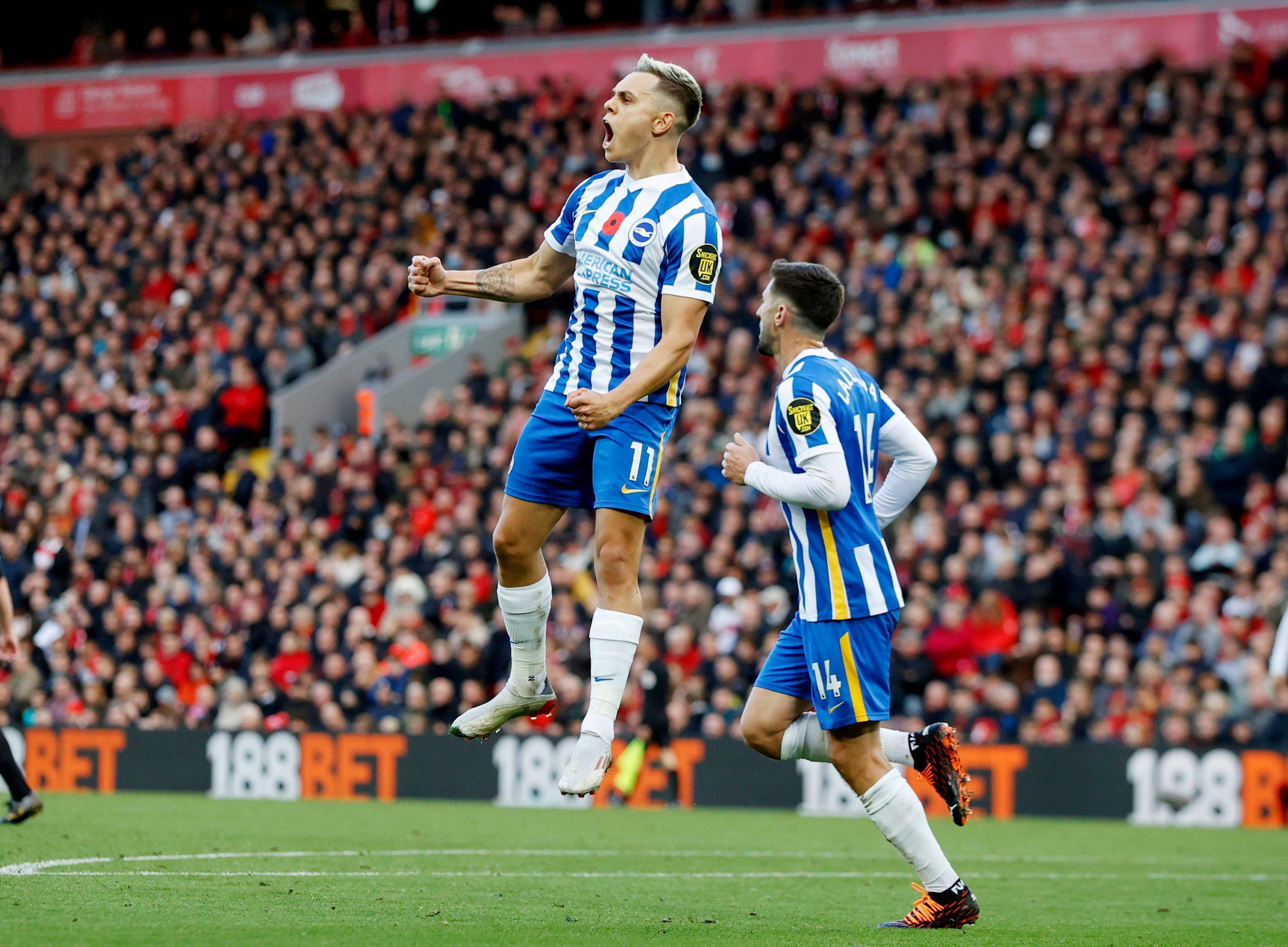 而鹈鹕的替 而鹈鹕的替